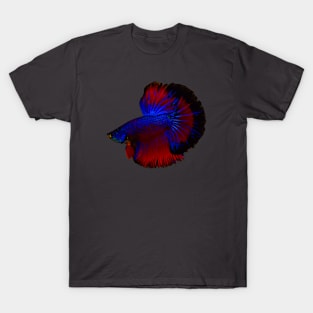 Betta Fish T-Shirt